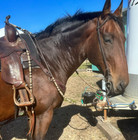 Romal Reins Dark Chocolate Brown  10 Plaits Romel Reins  48  Romel Reins 