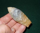 Good Looking Colorful Paleo Lanceolate W jim Bennett Coa  X-raymondi  Ohio  C941