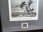 Duck Stamp Print First Of State Missouri 1979 