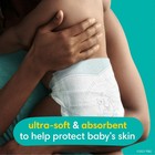 Pampers Swaddlers Diapers  Size 6  23-44 Lbs - 108 Count 