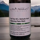 Skin Nutrition Botanicals Tea Tree   Salicylic Face Wash  2 Bottles  Oil-free