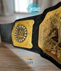 New World Heavy Weight Championship Replica Title Belt Adult Size 2mm Brass