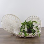 Northlight Set Of 3 White Lattice Tobacco Table Top Baskets