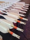 Vintage Ben Pearson Golden Sovereign Fiberglass Arrows Set   6 Ma 2 Broadheads