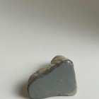 Wade Whimsies Walrus Safari Park Collection 1976-77