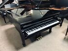 Steinway B Grand Piano - High Gloss - Free Shipping