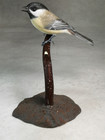Black-capped Chickadee Original Wood Carving