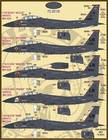 1 48 Furball F-15e 494th Drone Killers