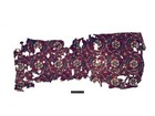 Wovensouls - 1978 Large Antique Indian Trade Textile Toraja Fragment