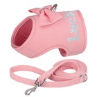 Custom Dog Harness W bling Name Print Soft Mesh Padded Pet Puppy Cat Vest  leash
