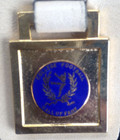 Vintage College Football Hall Of Fame Key Chain Fob--free Ship