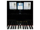 Beethoven Sonatas  For Yamaha  Pianodisc  Midi Player Pianos Floppy Disk Cd Usb