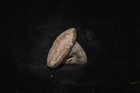 Ancient Roman Terracotta Plaque Ornament Amulet Pendant Ca  1st - 2nd Century Ad