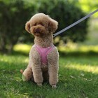 Dog Harness Leash Set Adjustable Reflective Mesh Vest For Small Dogs And Cats