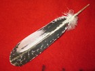 Native American Hand Painted Replica To Look Like Sub-adult Bald Eagle Feather