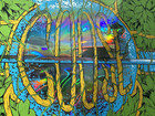Authentic Goose The Band Foil Poster Spac Saratoga Springs Ny 2024 S n   100