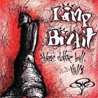 Limp Bizkit Three Dollar Bill  Y all Banner Huge 4x4 Ft Fabric Poster Flag Art