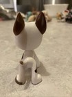 2007 Littlest Pet Shop Lps  750 Great Dane White Brown Teardrop Brown Eyes