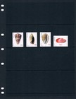  6 50 Scott Value  Est  - 2002 Guinea-bissau Seashells Shells Cv Mnh Nh Umm