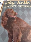 Irish Setter Sign Metal Sign 8 X 12    why Hello Sweet Cheeks   