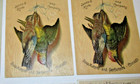 Antique 19th C  Victorian Trade Card Reardon  Kirk   Cosmo Soap Lot Of 5