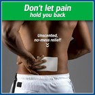 2-pack Salonpas 4  Pain Relieving Gel-patch  15 Patches  Exp 08 2028