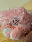 Ty Beanie Buddy Carnation The Cat Blue Eyes   Pink Ribbon 10 