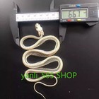New Real Animal Skull Professiona Snake Skeleton Oddities Gothic Snake Skeleton