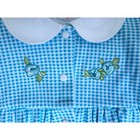 Small Steps Vintage Baby Blue Gingham Floral Embroidery Bubble Romper 3-6 Months