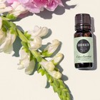 Edens Garden Good Health 100  Pure Essential Oil Blend 30 Ml 1 Oz