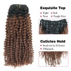 Sassina Kinky Curly Clip-in Hair Extensions 3c 4a Natural Black Fading To
