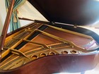 Steinway Grand Piano Model S