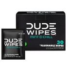 Dude Wipes Flushable Wipes Individually Wrapped Otg Wet Wipes  Mint Chill  30 Ct