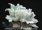 9 6  Old Chinese Natural Dushan Jade Carving Fengshui Peony Flower Bird Statue