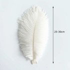 20pcs Natural White Ostrich Feathers 10-12 Inch 25-30cm Bulk Feathers For Wed   