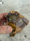 5 Pound Lots  Of Jelly Bean Jasper Solid Rough Gorgeous Colors 
