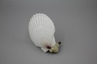Vtg Seashell Nightlight Scallop Shell Decorative Beach Coastal Cottagecore Decor