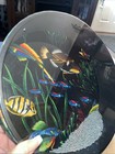 Remo Ocean Drum - 16  Diameter  2 5  Depth Standard Hand Drum
