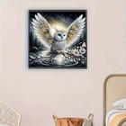 Special Shaped Diamond Art Painting Kits For Adults  Owl 5d Diamond Painting Kit