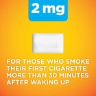 Amazon Basic Care Nicotine Gum 2mg Fruit Flavor 160 Count Smoking Cessation