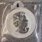 Mixed Date  5 Canadian Silver Maple Leaf Lot 6 Total