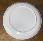 Disney Lion King Plastic Plate Zak designs 8    Simba Timon