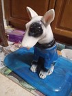 Bull Terrier Dog Figurine Blue Coat Collectible