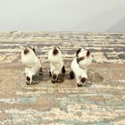Siamese Cat Figurines Mcm X3 Ceramic Mini Hagen Renaker Kitten Blue Eyes