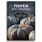 Blue Jarrahdale Pumpkin Seeds For Planting - 1 Pack