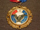 Vintage Geneva Ny Foe Convention Fraternal Order Of Eagles Medal Ribbon Pin