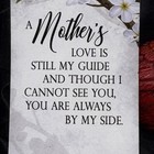 Carson Home 12898 Mother Cardinal Figurine