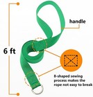 Slip Lead Dog Leash 10pcs 6ft Training Puppies