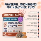 Organic Turkey Tail Mushroom Supplement For Dogs 120 Count - Free Shipping