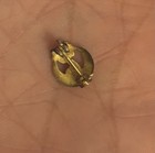 Daughters Of Rebekah Pin Independent Order Of Odd Fellows Organization